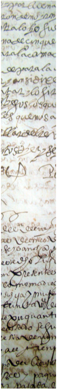 genealogia2