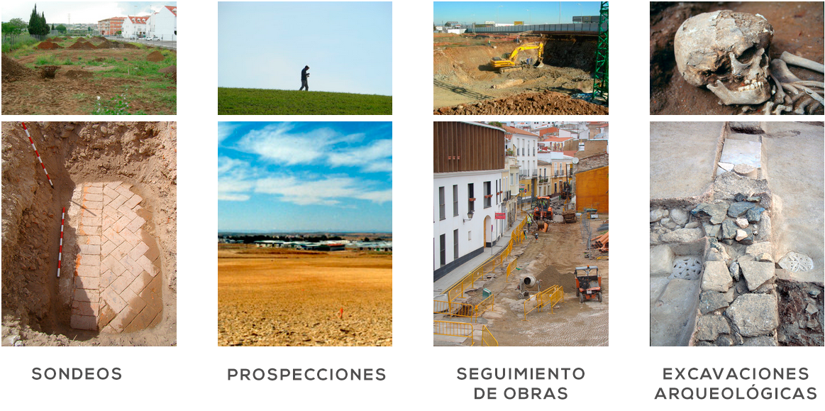 servicios-arqueo